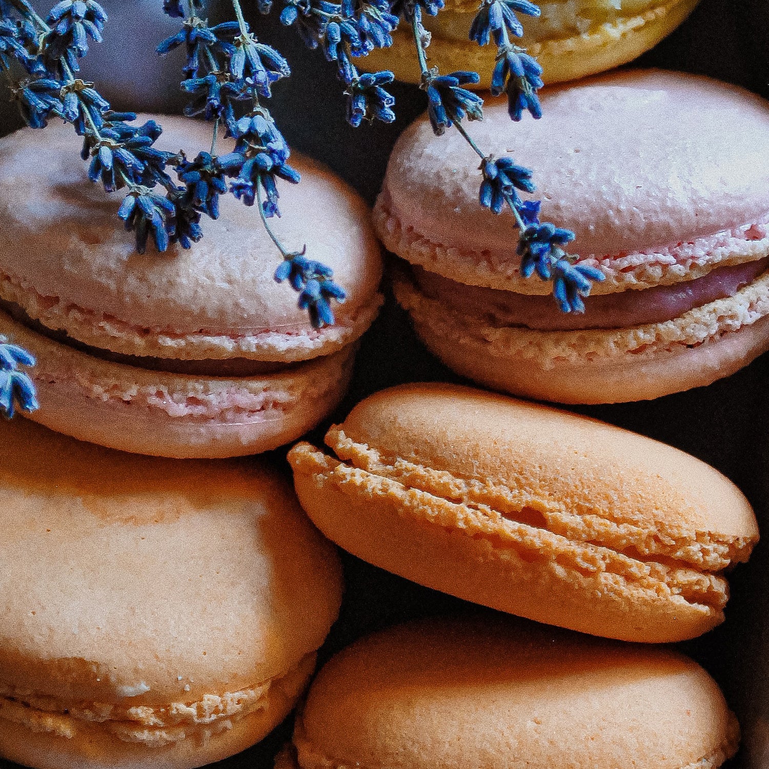 MACARON